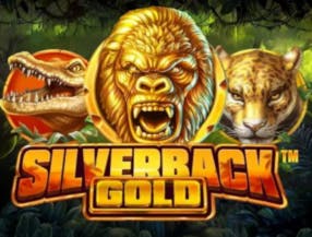 win big at marathonbet the best casino