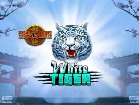 jogos de hoje brasileir√£o ao vivo