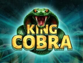 futebol ao vivo todos os jogos