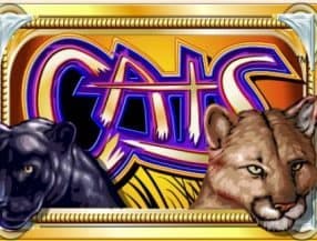 brazino777 casino login