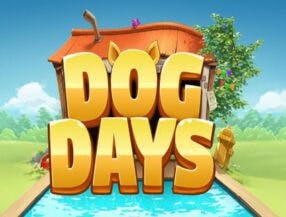 android casino app