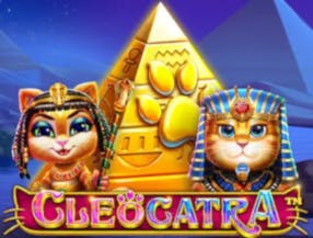 tigerbet
