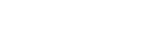 livescore srl